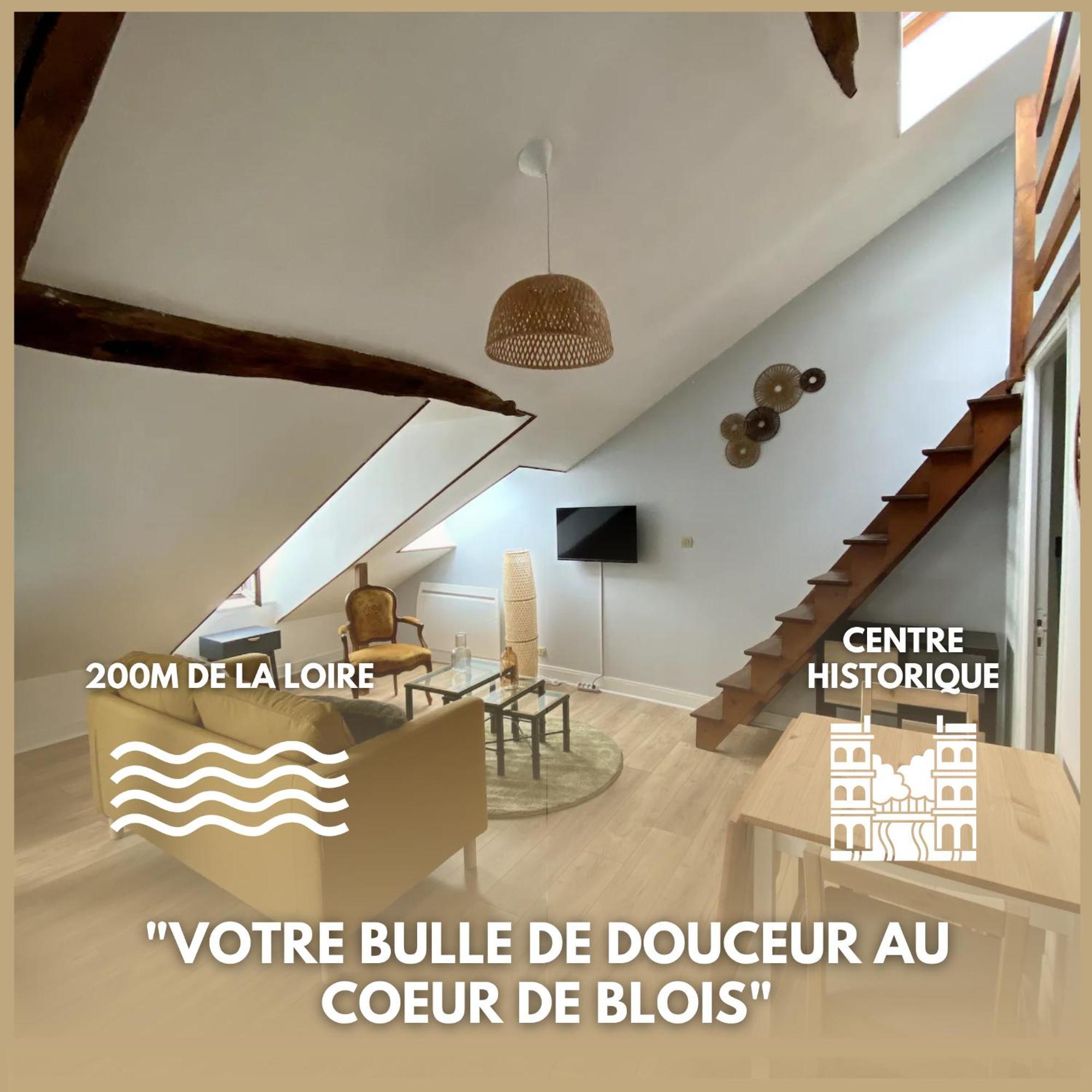 Le Cocon - Appartement En Hyper Centre Blois Zewnętrze zdjęcie